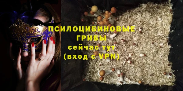соль ск Абаза