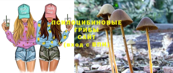 меф Абдулино
