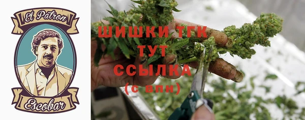 соль ск Абаза