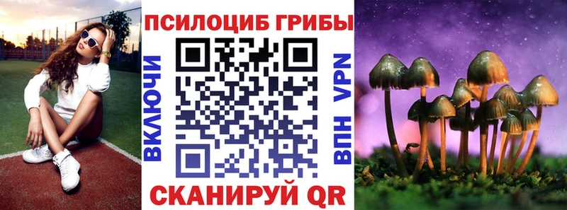 Галлюциногенные грибы Psilocybine cubensis Болгар